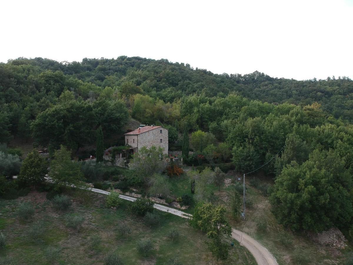 Podere Piandicava 카스텔누오보디발디세시나 외부 사진