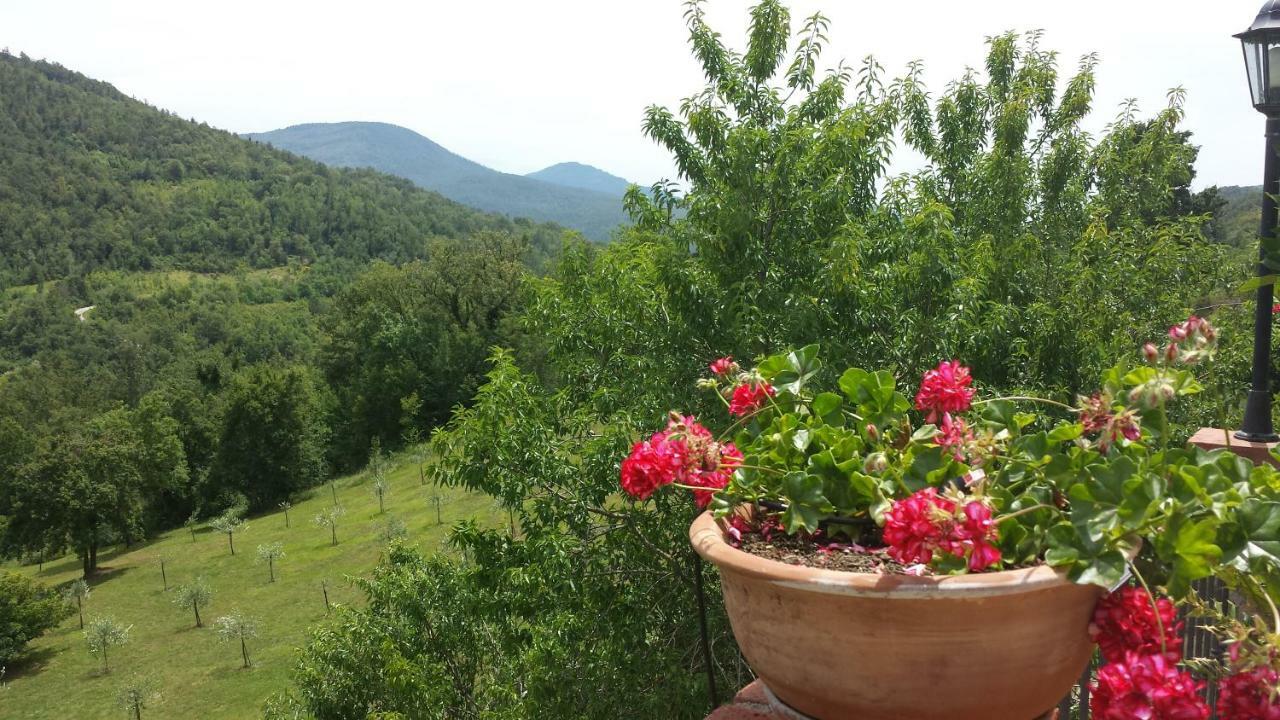 Podere Piandicava 카스텔누오보디발디세시나 외부 사진